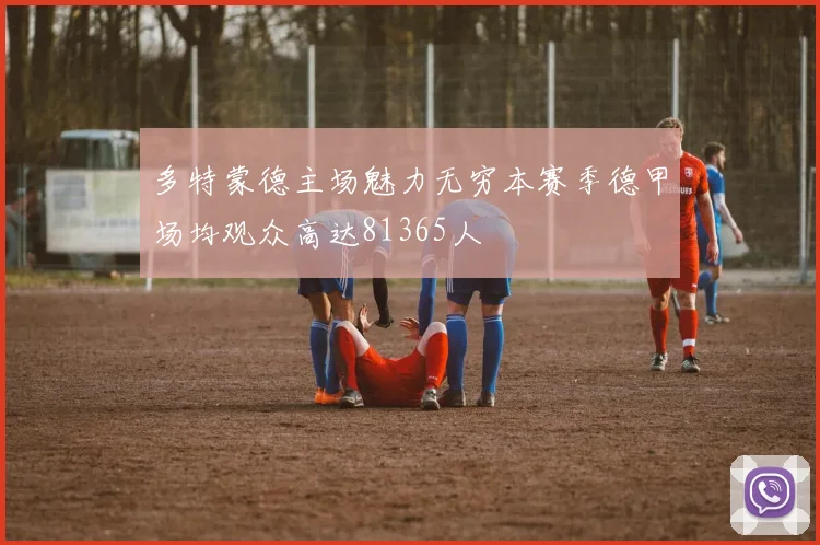 多特蒙德主场魅力无穷本赛季德甲场均观众高达81365人